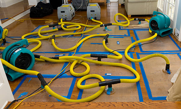 Professional Flood Damage Restoration technician working in Rockville, CT